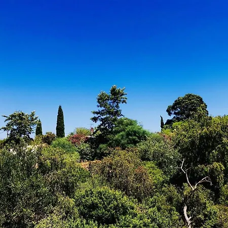 Alamos Retreat - Wellness&yoga Boutique Bed and breakfast 3*