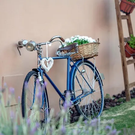 Alamos Retreat - Wellness&yoga Boutique Couette-café 3*
