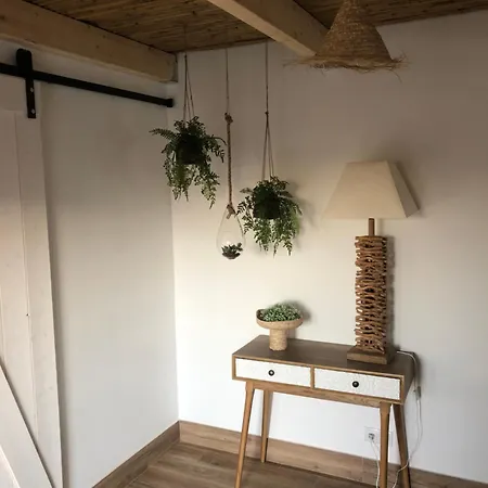 Alamos Retreat - Wellness & Yoga Boutique Bed & Breakfast